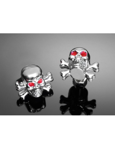 TORNILLO SKULL AND BONES CROMADO PAR