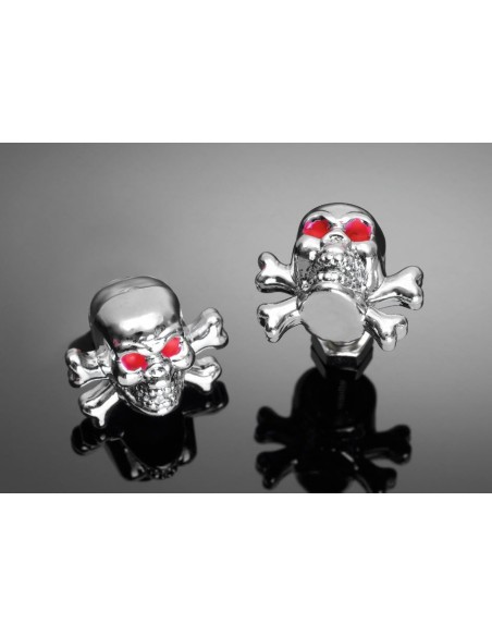 TORNILLO SKULL AND BONES CROMADO PAR