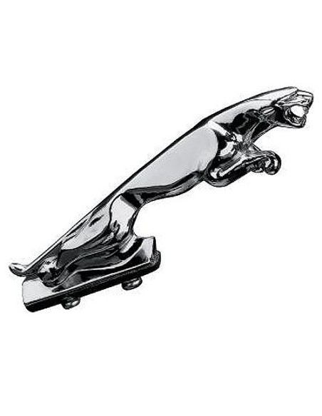 EMBELLECEDOR PANTHER PARA GUARDABARROS