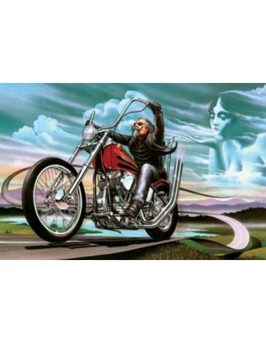 BANDERA MOTO FLAG BIKER 23X15 CM