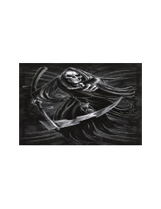 BANDERA REAPER 23X15 CM