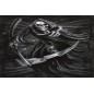 BANDERA REAPER 23X15 CM BANDERA REAPER 23X15 CM