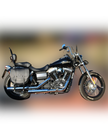 ALFORJA PIEL BANDO BASICA DERECHA HCO AMORT PARA DYNA H.D