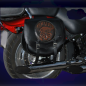 ALFORJAS PIEL SPARTA SKULL CZ PARA SOFTAIL FXSTC H.D