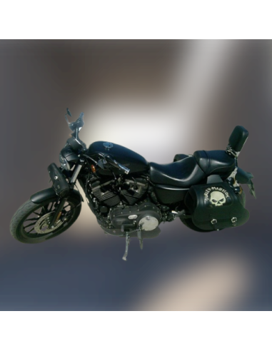 ALFORJAS RÍGIDAS TEMPLARIO TRENZADA HUECO AMORT SKULL HD SPORTSTER