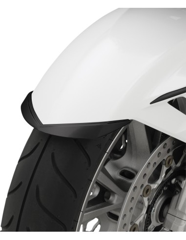 EMBELLECEDOR GUARDABARROS DELANTERO HONDA GOLDWING GL1800