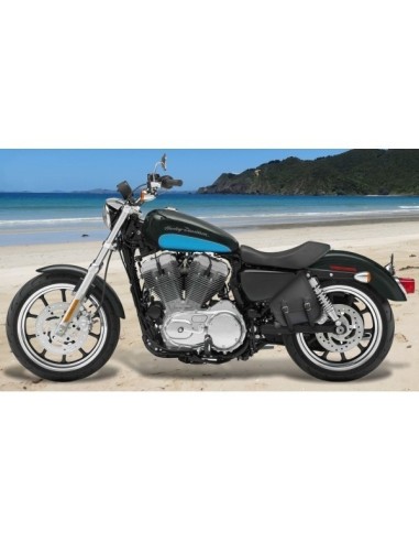 ALFORJA BASCULANTE GADIZ BÁSICA DCHO SPORTSTER HD 883-1200 ALFORJA BASCULANTE GADIZ BÁSICA DCHO SPORTSTER HD 883-1200