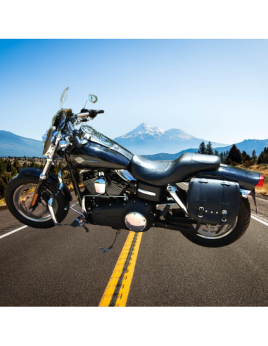 ALFORJA LATERAL PIEL BANDO PARA SOFTAIL FAT-BOY H.D