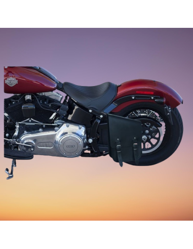 ALFORJA PIEL BASCULANTE TEMIS BÁSICA PARA SOFTAIL H.D ALFORJA PIEL BASCULANTE TEMIS BÁSICA PARA SOFTAIL H.D