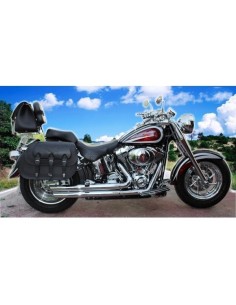 ALFORJAS RIGIDAS CAMPEADOR PERSONALIZADA ESCUDO HARLEY DAVIDSON PARA SOFTAIL H.D