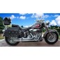 ALFORJAS RIGIDAS CAMPEADOR PERSONALIZADA ESCUDO HARLEY DAVIDSON PARA SOFTAIL H.D
