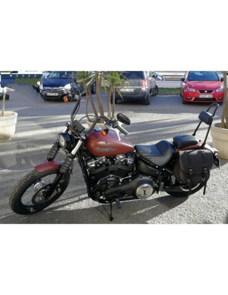 ALFORJA PIEL BANDO BASICA OLD RAT SOFTAIL STREET BOB H.D