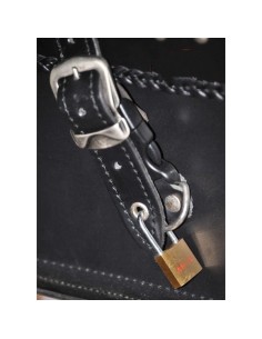 ALFORJAS RIGIDAS CAMPEADOR PERSONALIZADA WILLIE HARLEY DAVIDSON PARA SOFTAIL H.D