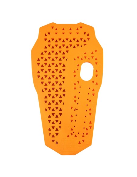 PROTECTOR DE ESPALDA D30 IN&MOTION HELD