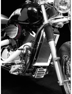 CUBRERADIADOR PARA SHADOW VT600 / VLX600 para Cubreradiadores