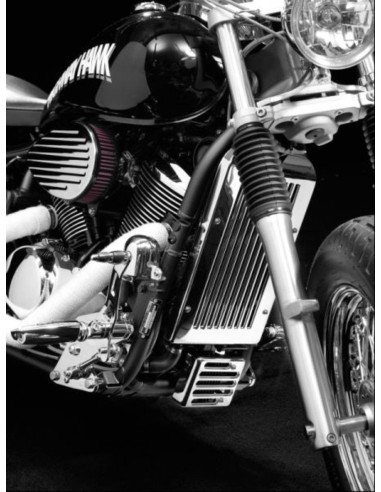 CUBRERADIADOR HONDA SHADOW VT600