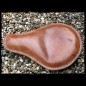 ASIENTO SOLO PURE LEATHER UNIVERSAL MARRÓN