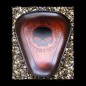 ASIENTO SOLO SKULL BROWN HD PARA SPORTSTER 2010 - UP ASIENTO SOLO SKULL BROWN HD PARA SPORTSTER 2010 - UP