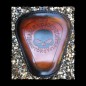 ASIENTO SOLO SKULL BROWN HD PARA SPORTSTER 2010 - UP ASIENTO SOLO SKULL BROWN HD PARA SPORTSTER 2010 - UP