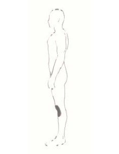 PROTECTOR RODILLA T5 EVO PRO X HELD