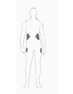 PROTECTOR DE CADERA-COSTILLAS SAS-TEC HELD