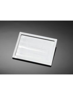 SOPORTE MATRICULA SMOOTH ALUMINIO CROMADO