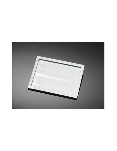 SOPORTE MATRICULA SMOOTH ALUMINIO CROMADO