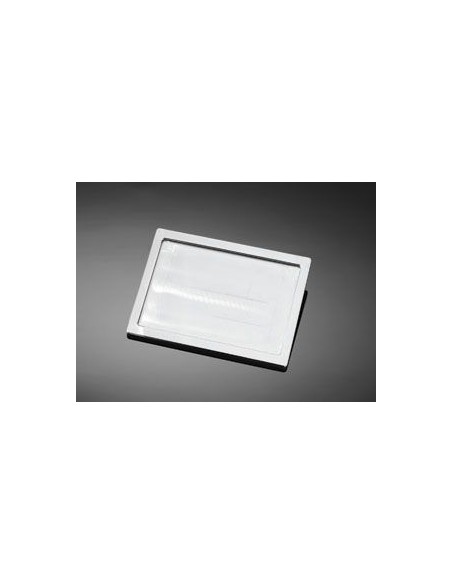 SOPORTE MATRICULA SMOOTH ALUMINIO CROMADO