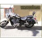 ALFORJAS TORELO HONDA SHADOW VT750 