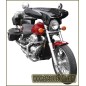 PARABRISAS BATWING CARENADO HONDA VT750C SHADOW AERO