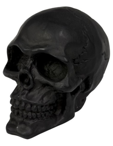 SKULL NEGRO EMBELLECEDOR CRANEO ROTO SKULL NEGRO EMBELLECEDOR CRANEO ROTO