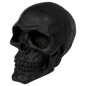 SKULL NEGRO EMBELLECEDOR CRANEO ROTO SKULL NEGRO EMBELLECEDOR CRANEO ROTO