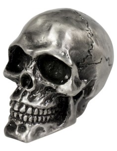 SKULL OLD SILVER EMBELLECEDOR CRANEO ROTO