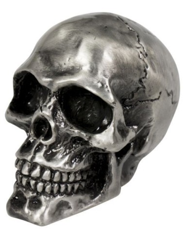 SKULL OLD SILVER EMBELLECEDOR CRANEO ROTO SKULL OLD SILVER EMBELLECEDOR CRANEO ROTO