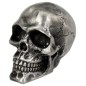 SKULL OLD SILVER EMBELLECEDOR CRANEO ROTO SKULL OLD SILVER EMBELLECEDOR CRANEO ROTO