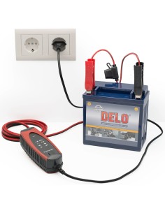 CARGADOR BATERIA PROCHARGER 1000