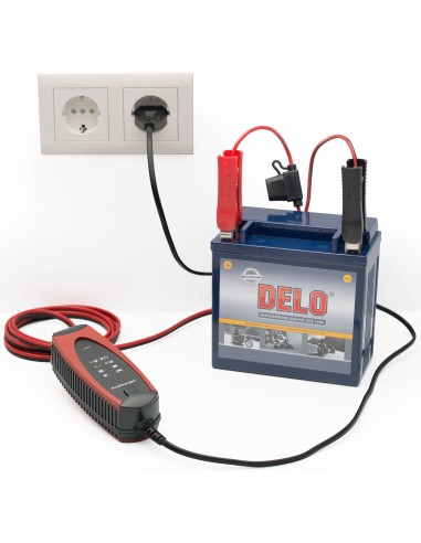 CARGADOR BATERIA PROCHARGER 1000 CARGADOR BATERIA PROCHARGER 1000