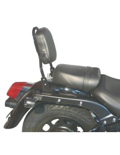 RESPALDO PASAJERO DAELIM