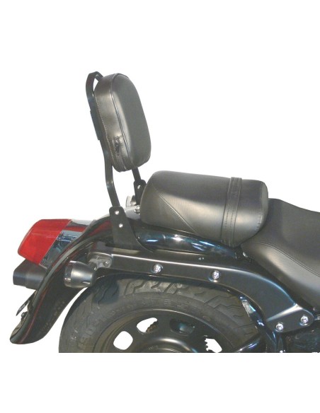 RESPALDO PASAJERO DAELIM