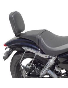 RESPALDO MODELO 2 GOES 125MB EFI CUSTOM BASICO