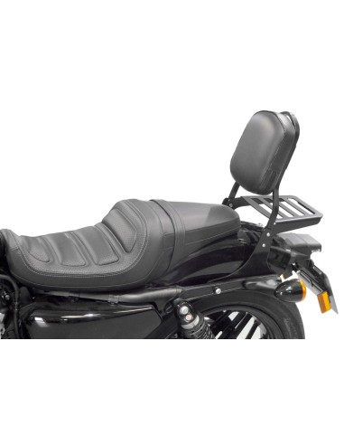 RESPALDO PASAJERO HARLEY DAVIDSON SPORTSTER ROADSTER (2016 -2019) RESPALDO PASAJERO HARLEY DAVIDSON SPORTSTER ROADSTER (2016 -2019)