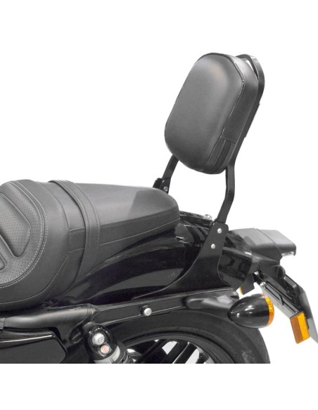 RESPALDO PASAJERO HARLEY DAVIDSON TOURING (2014 - UP)