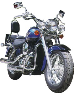 DEFENSA MOTOR KAWASAKI VULCAN VN800 CUSTOM