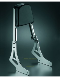 RESPALDO MAPAM CON PLETINAS PARA HONDA VT1100 C2 ACE