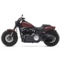 ALFORJA BASCULANTE NÁPOLES IZQUIERDA PARA SOFTAIL FAT-BOB H.D ALFORJA BASCULANTE NÁPOLES IZQUIERDA PARA SOFTAIL FAT-BOB H.D
