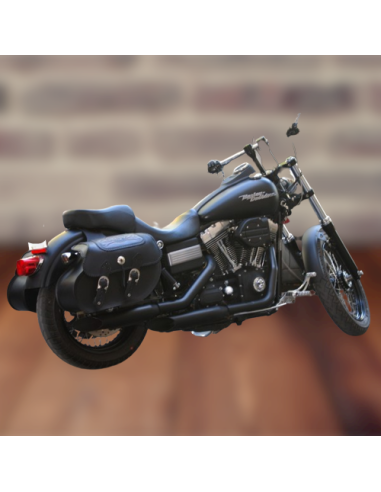 ALFORJAS RÍGIDAS TEMPLARIO BASICAS TRENZ CALAVERA TIBIAS DYNA STREET-BOB H.D
