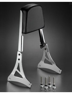 RESPALDO MAPAM CON PLETINAS PARA HONDA VT750 ACE - C2