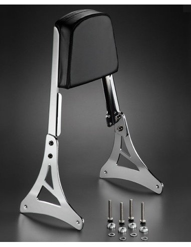 RESPALDO MAPAM CON PLETINAS PARA HONDA VT750 ACE - C2 RESPALDO MAPAM CON PLETINAS PARA HONDA VT750 ACE - C2