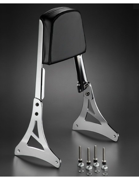 RESPALDO MAPAM CON PLETINAS PARA HONDA VT750 ACE - C2