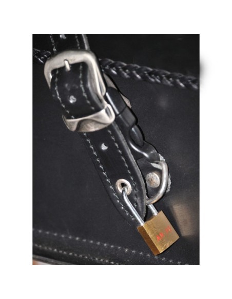 BAUL TRASERO RÍGIDO DOSCAS BÁSICO CALAVERAS TIBIAS TEX UNIVERSAL